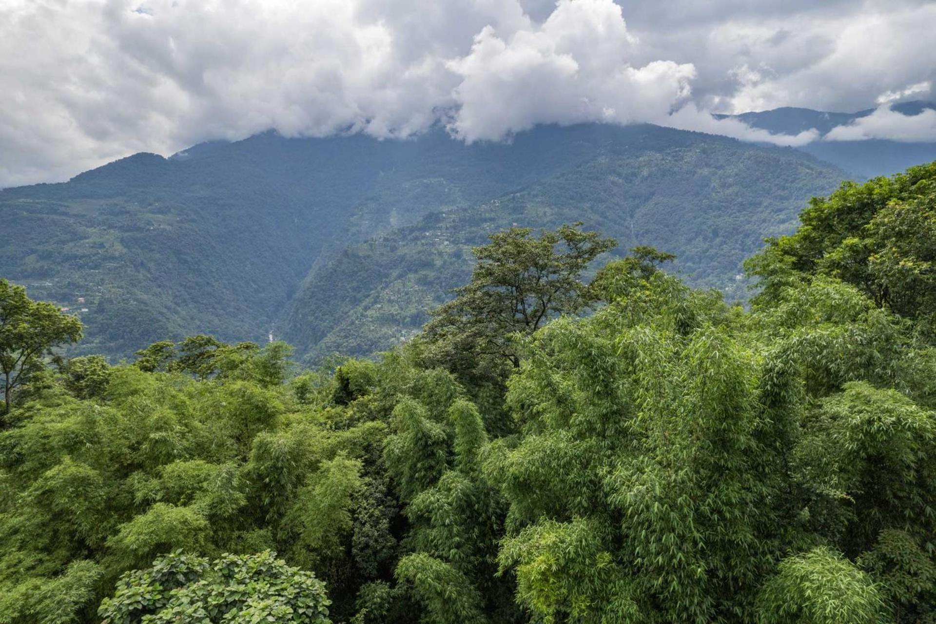 La Ipsing Farm: Heritage Orchard Retreat with Mountain Views Samdong Exterior photo